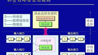 網(wǎng)絡(luò)工程師在網(wǎng)絡(luò)文化傳播中的角色與影響